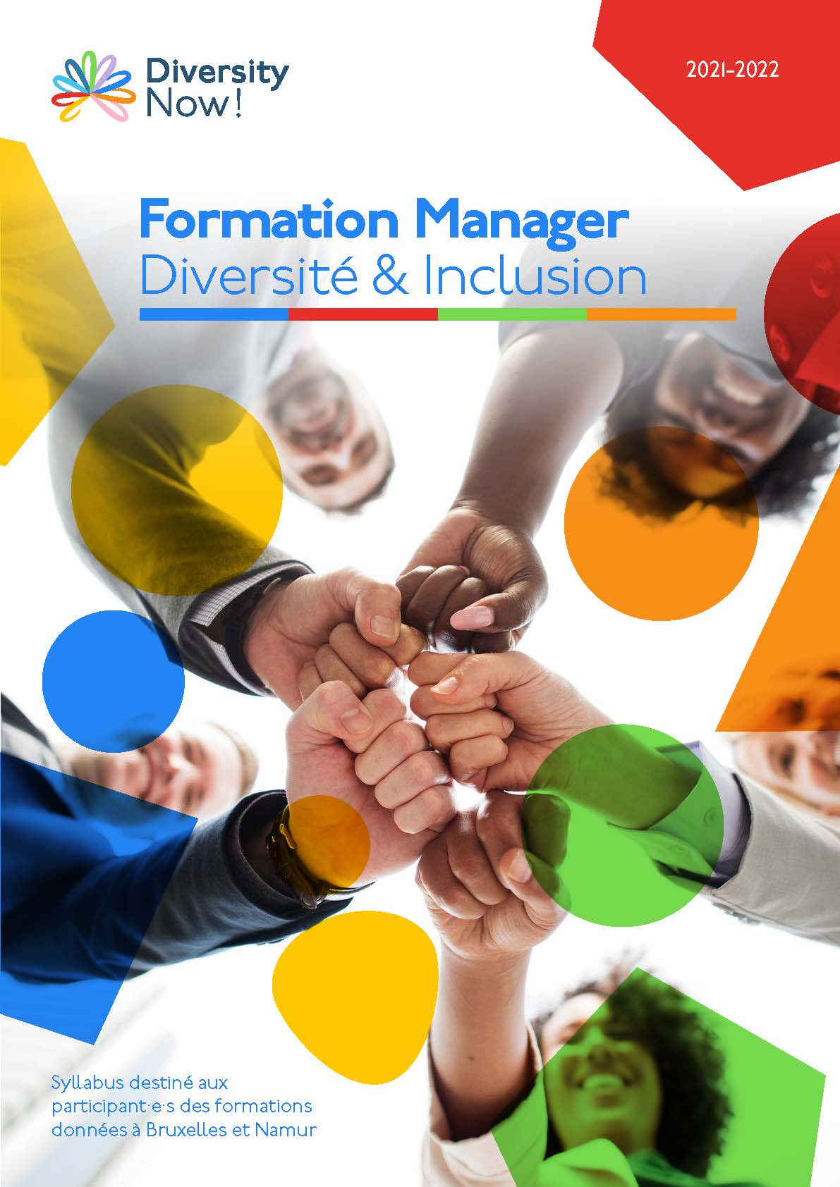 Syllabus formation manager DI - Diversity Now